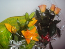 DSC07262