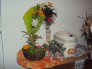 DSC07264