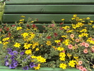 DSC00878