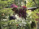 DSC00888