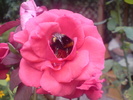 DSC06101