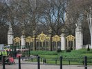IMG_0206