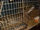 S6300602