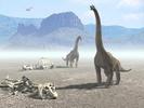 Poze Wallpapers 3D Imagini cu Dinozauri de Wallpaper