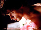 Tom Welling (2)