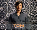 Tom Welling (8)