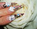 flori_albe_0
