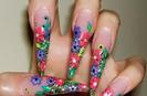 gypsynail
