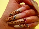 longnail