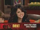 selenafan_001