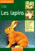 livre-lapin-11