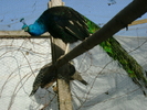 DSC00502