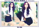 Banner31