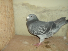 DSC00677