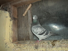 DSC00691
