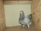 DSC00695