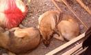 Photo0129