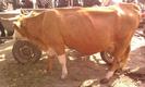 Photo0133