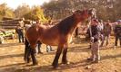 Photo0136