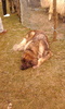 Photo0180