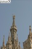 la-madonnina-1-milano-41