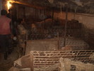 DSC02366