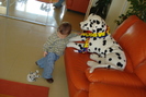 MINI BORCICA A CAZUT:)