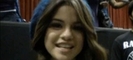 normal_selenafan01