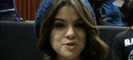normal_selenafan02