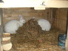 PICT0094