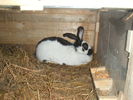 PICT0095