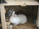 PICT0098