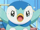 piplup