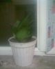 8 martie 2010