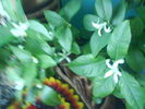 DSC03867