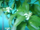 DSC03875