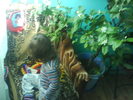 DSC03877