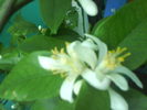 DSC03880