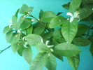 DSC03881
