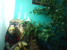 DSC03886