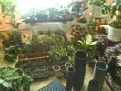 DSC03894