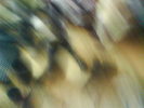 DSC03913