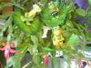 DSC03924