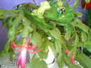DSC03925