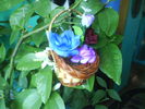 DSC03934