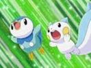 piplup si pachirisu nervosi