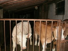 P8020100