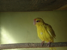 DSC08630