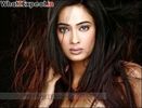 shweta_tiwari38_20090406_1011889527
