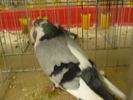 P1070337